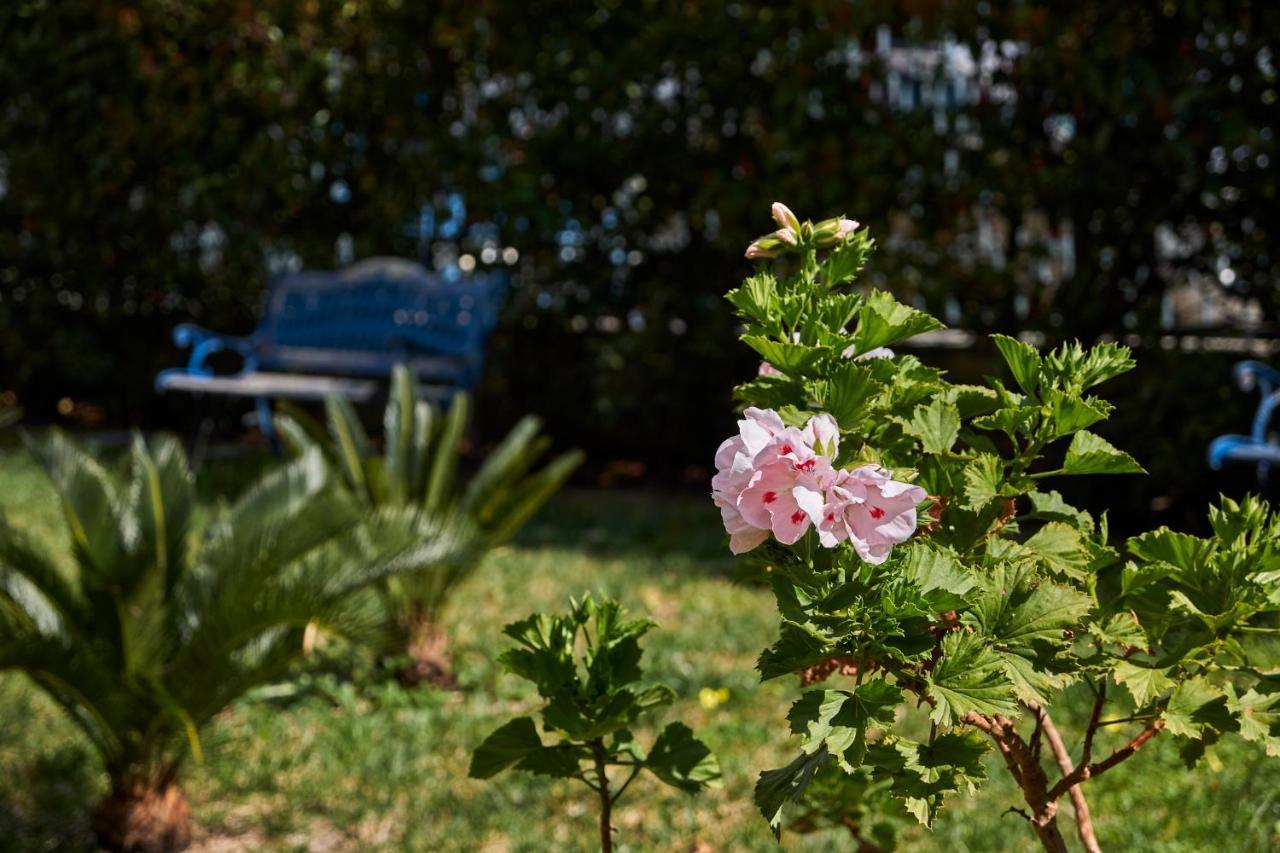 Il Giardino Di Flora Con Piscina Hotell Lecce Eksteriør bilde