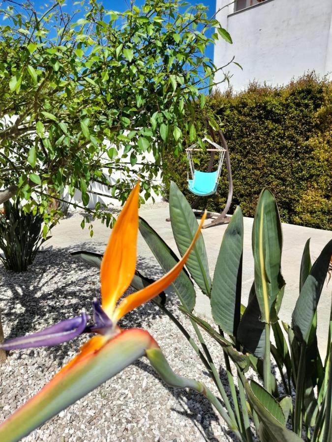 Il Giardino Di Flora Con Piscina Hotell Lecce Eksteriør bilde